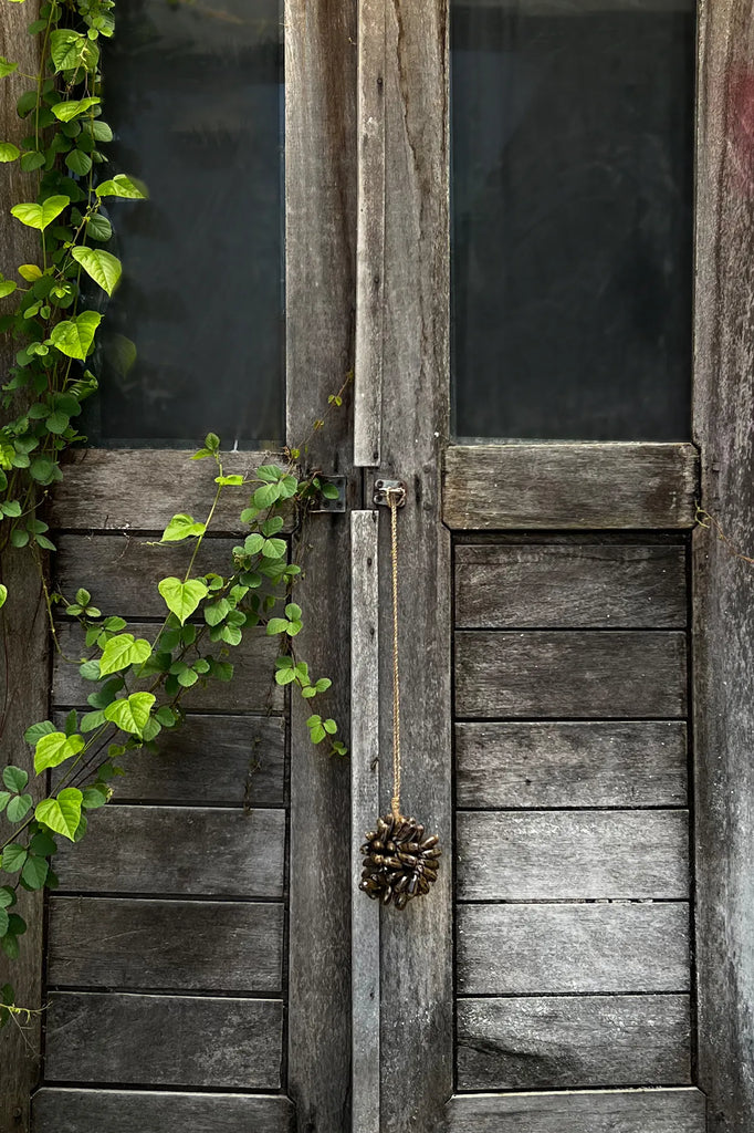 The Brown Cowrie Shell Tassel