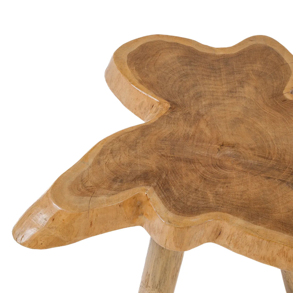The Organic Side Table - Natural