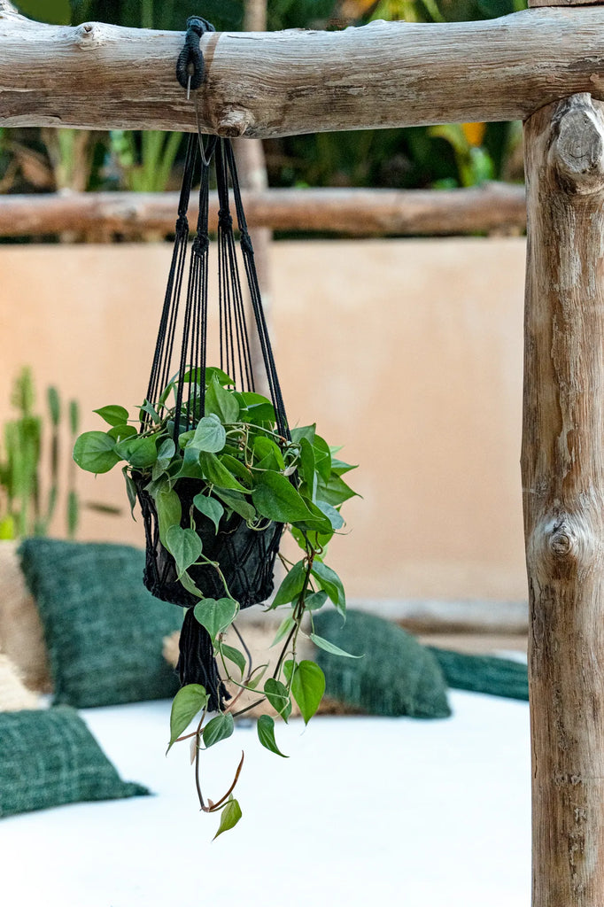 The Macrame Planthanger - Black - S