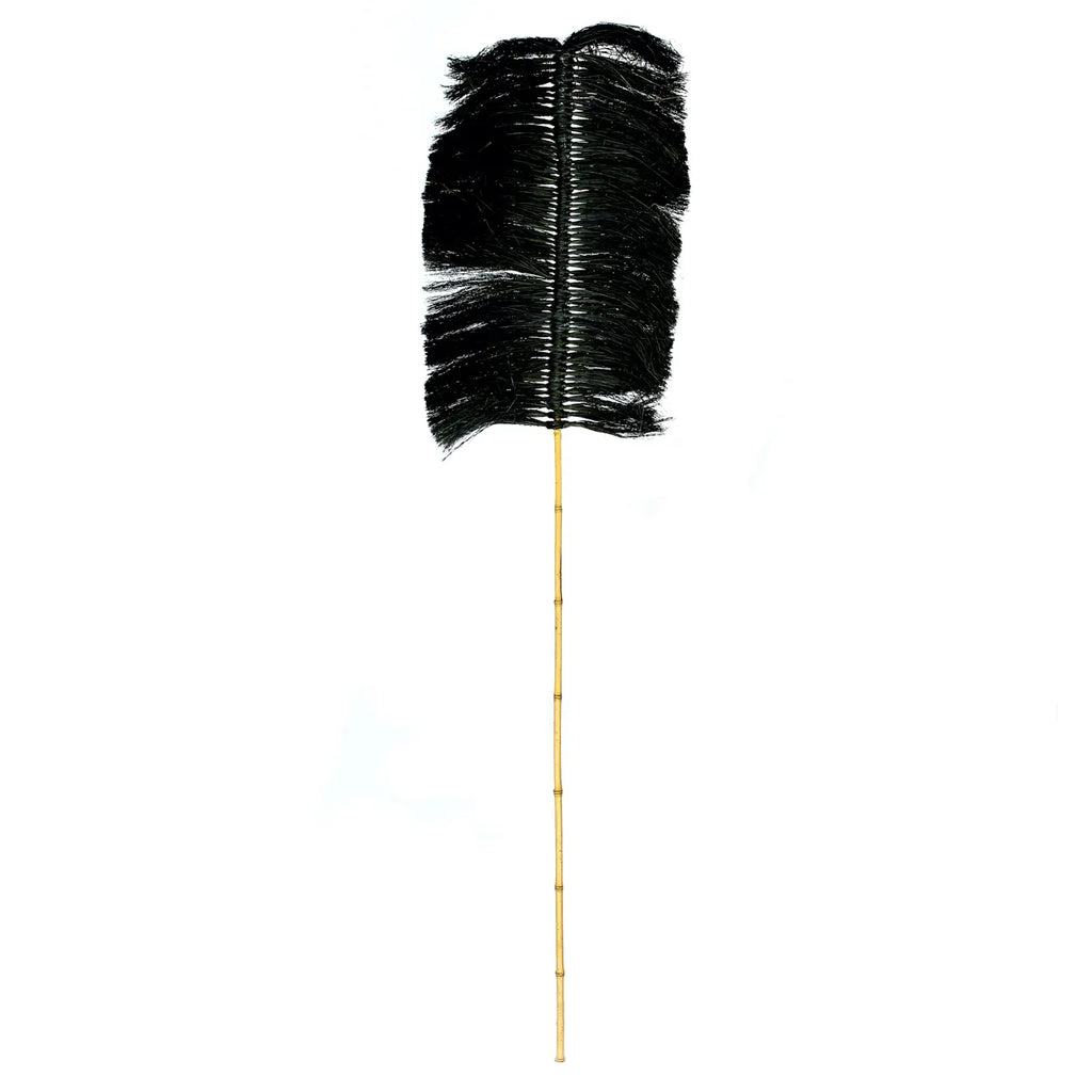 The Black Raffia Palm