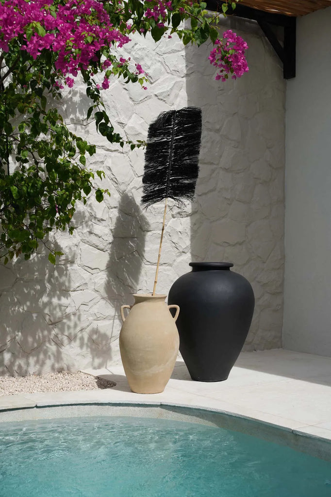 The Black Raffia Palm