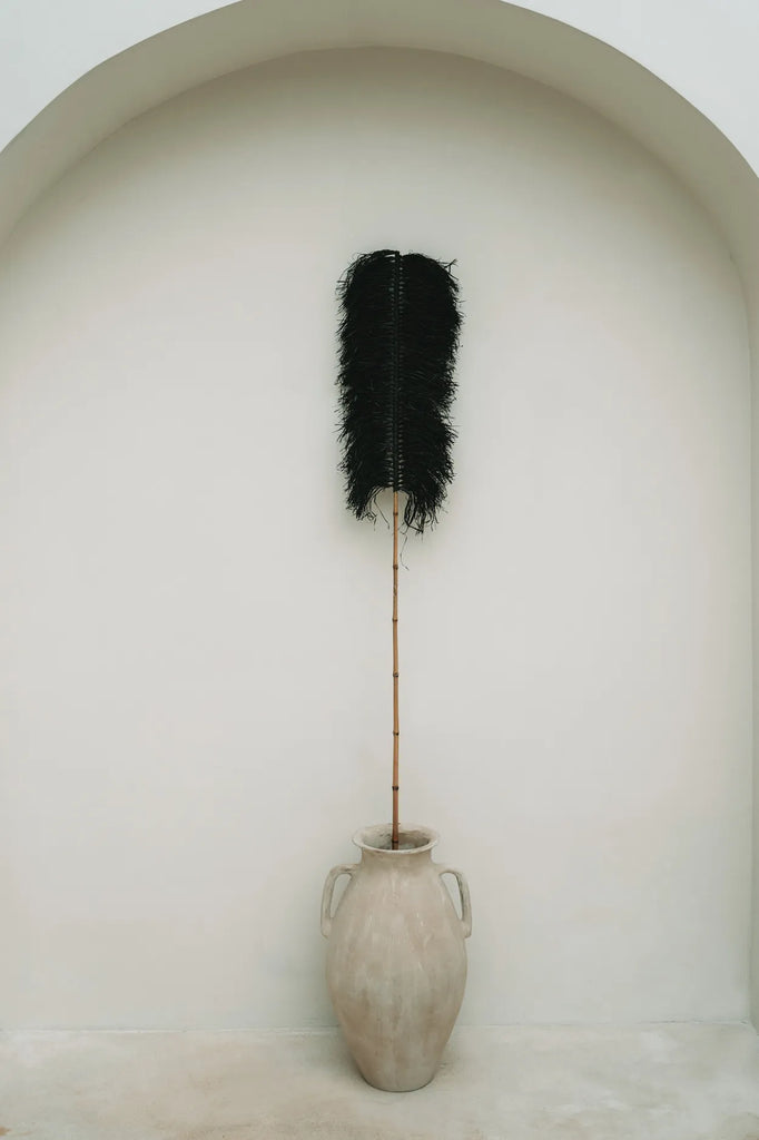 The Black Raffia Palm