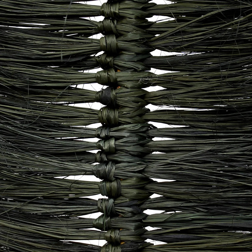 The Black Raffia Palm