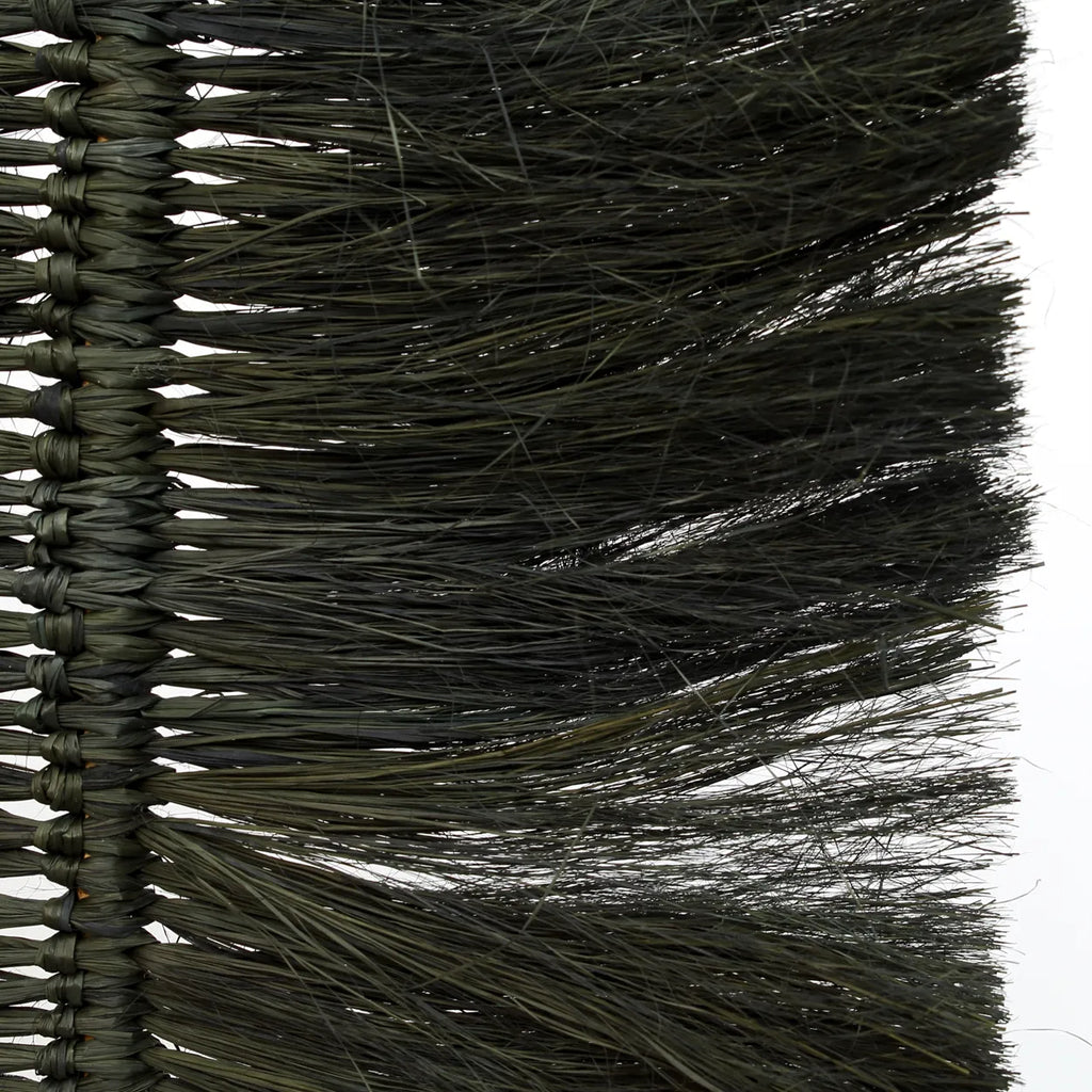 The Black Raffia Palm